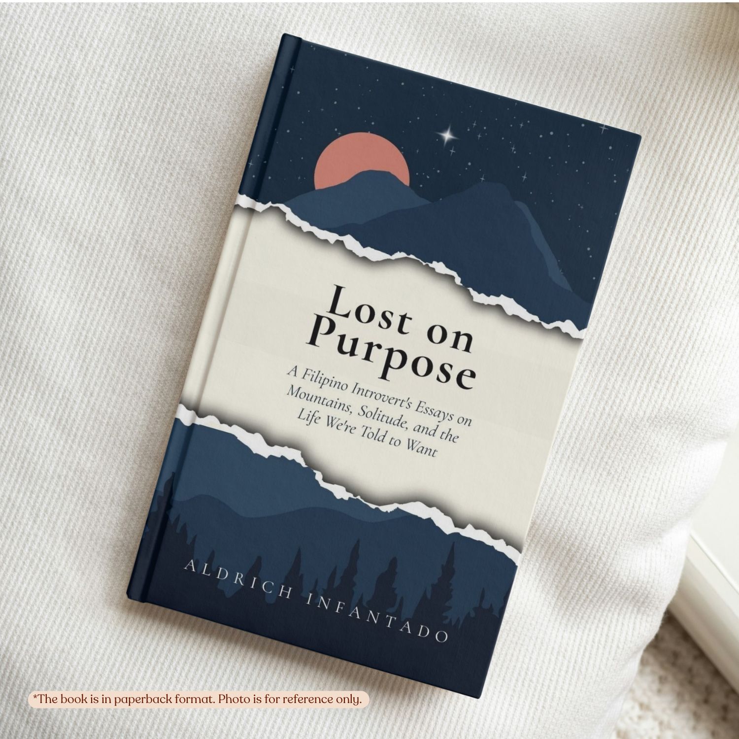 Lost on Purpose | Aldrich Infantado | Self-Help - Image 4
