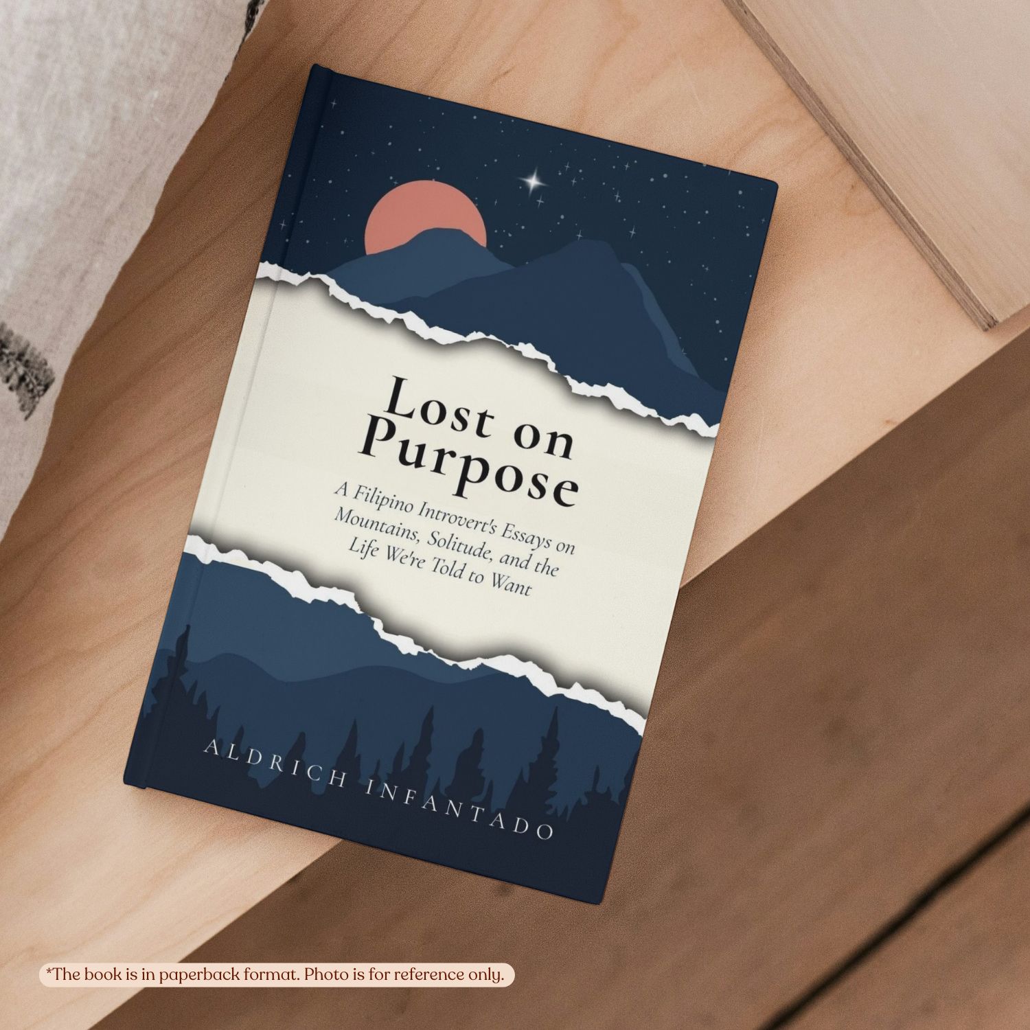 Lost on Purpose | Aldrich Infantado | Self-Help - Image 5