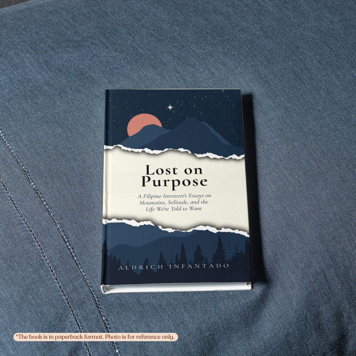 Lost on Purpose | Aldrich Infantado | Self-Help - Image 3